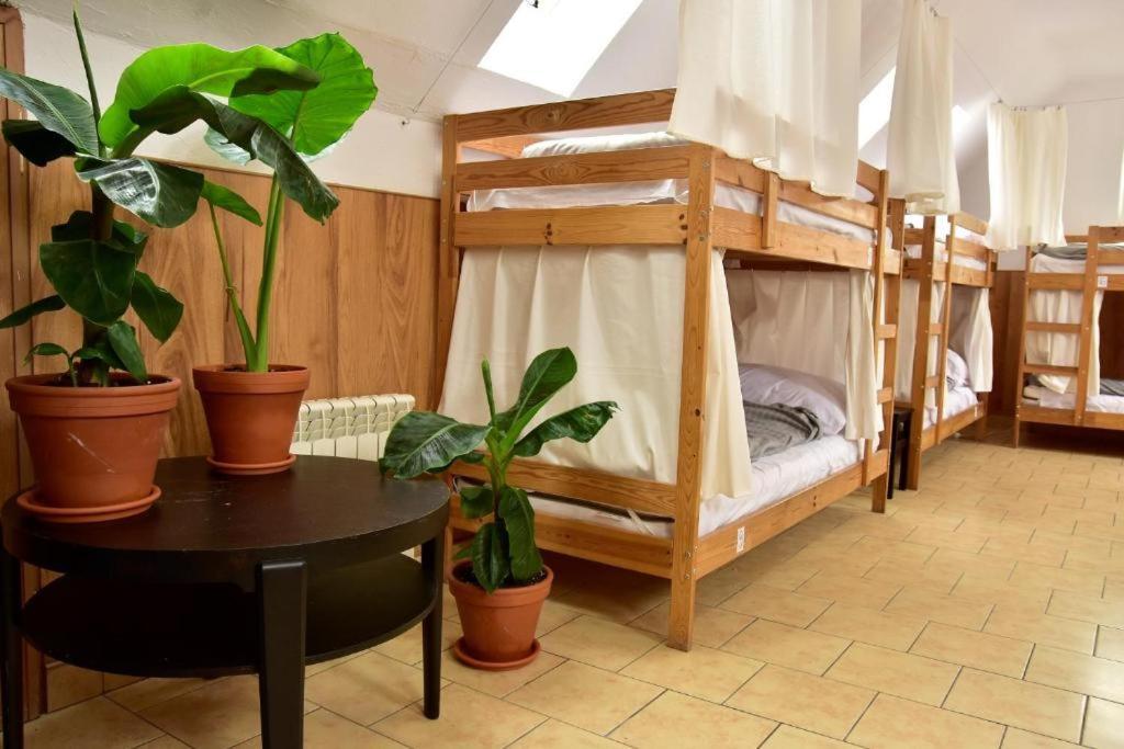 Mimosa Rooms Познан Екстериор снимка